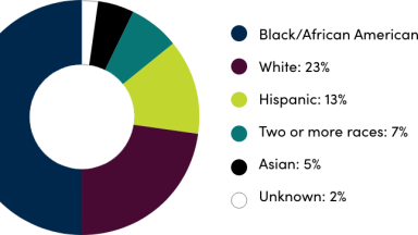 Circle graph breakdown of class profile by percentage